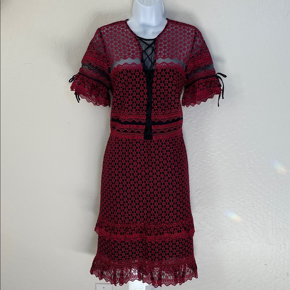 Parker Dress Cocktail Emilia Embroidered Lace